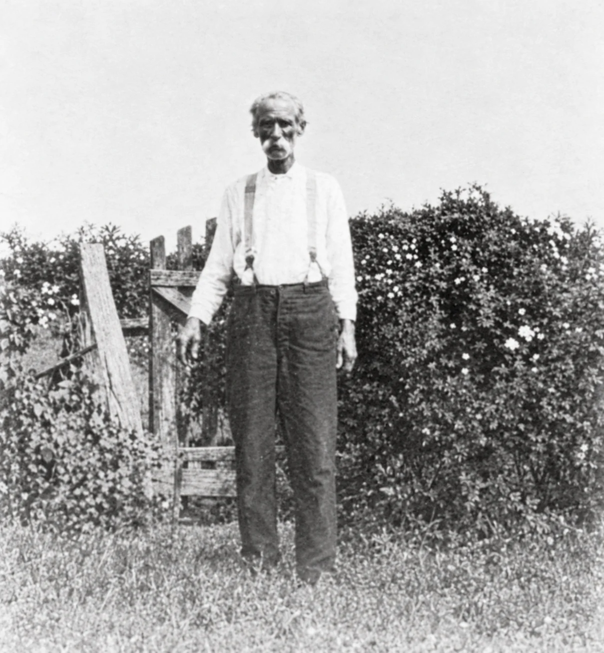Phillip beside the garden gate — Phillip Henry Marbut