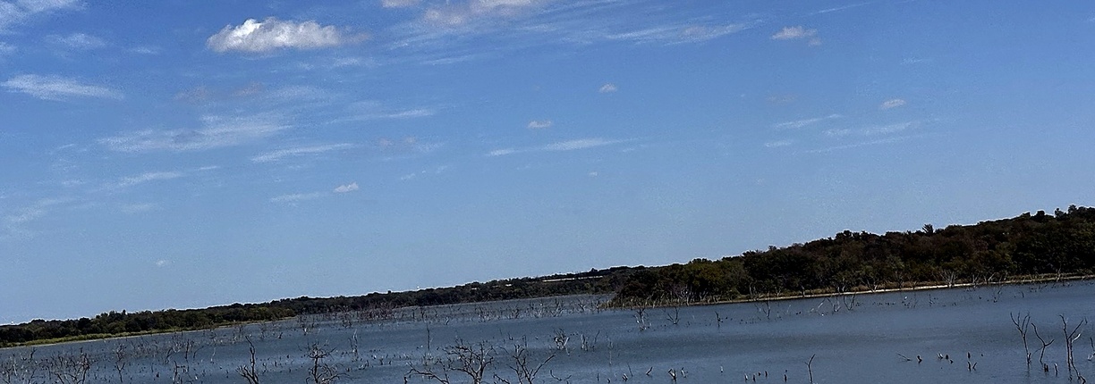 Dead timber rising from Aquilla Lake